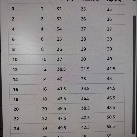 Jenny Yoo Inesse Size 18 Formal/Bridesmaid Dress in Storm Gray - Picture 11 of 12